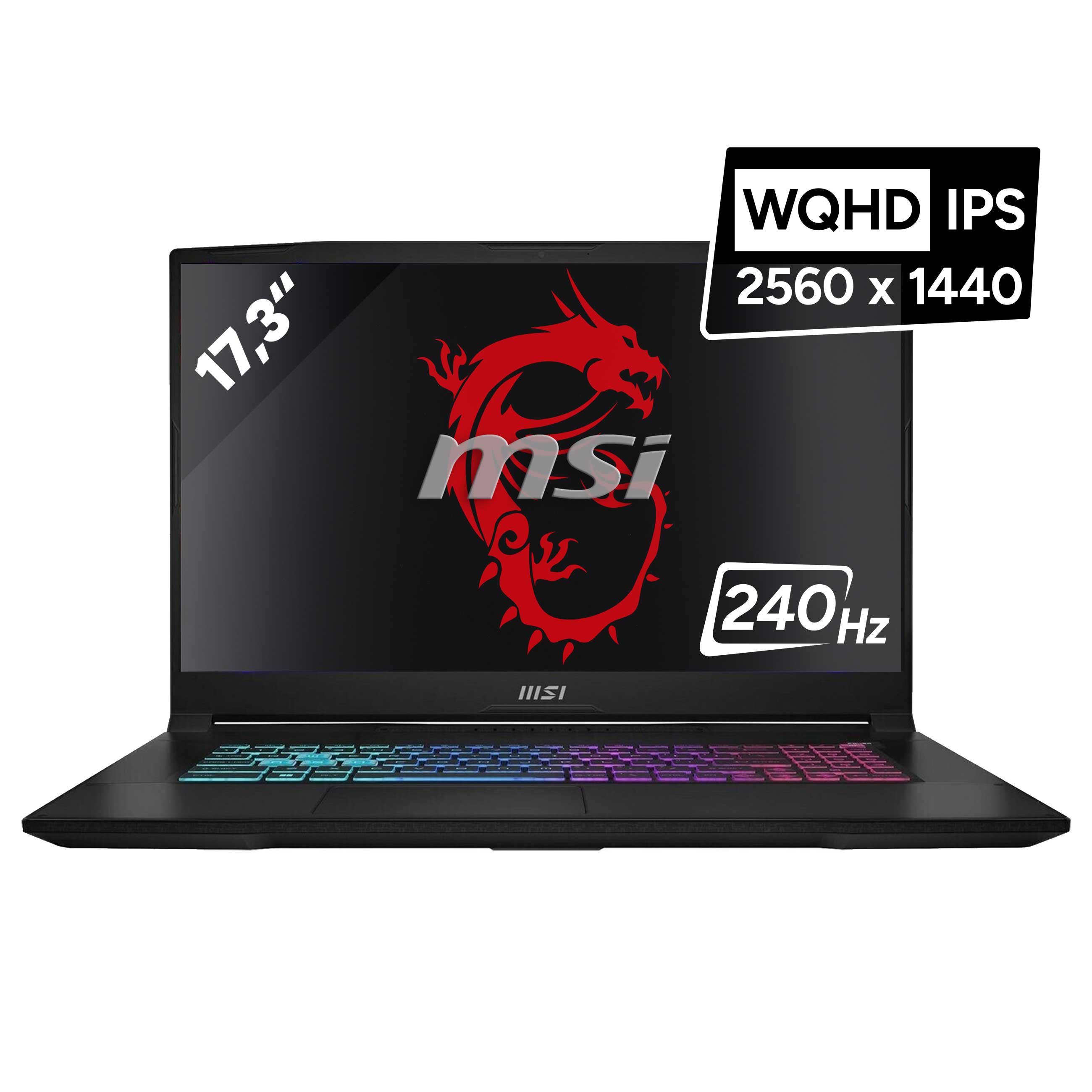 MSI Katana 17 HX B14WGK-062Wie neu – AfB-refurbished