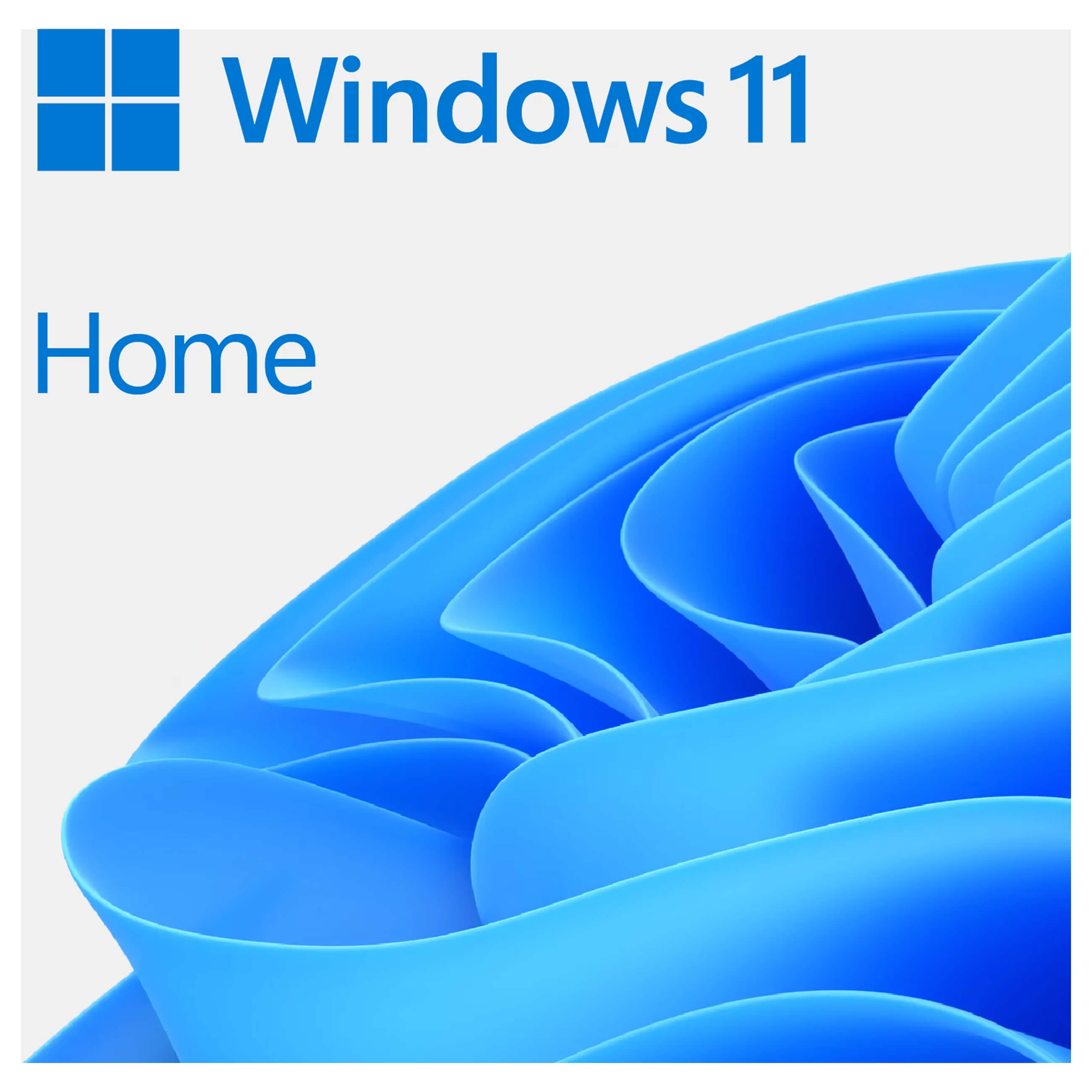 Microsoft Windows 11 Home - DVD - OEM - Betriebssystem