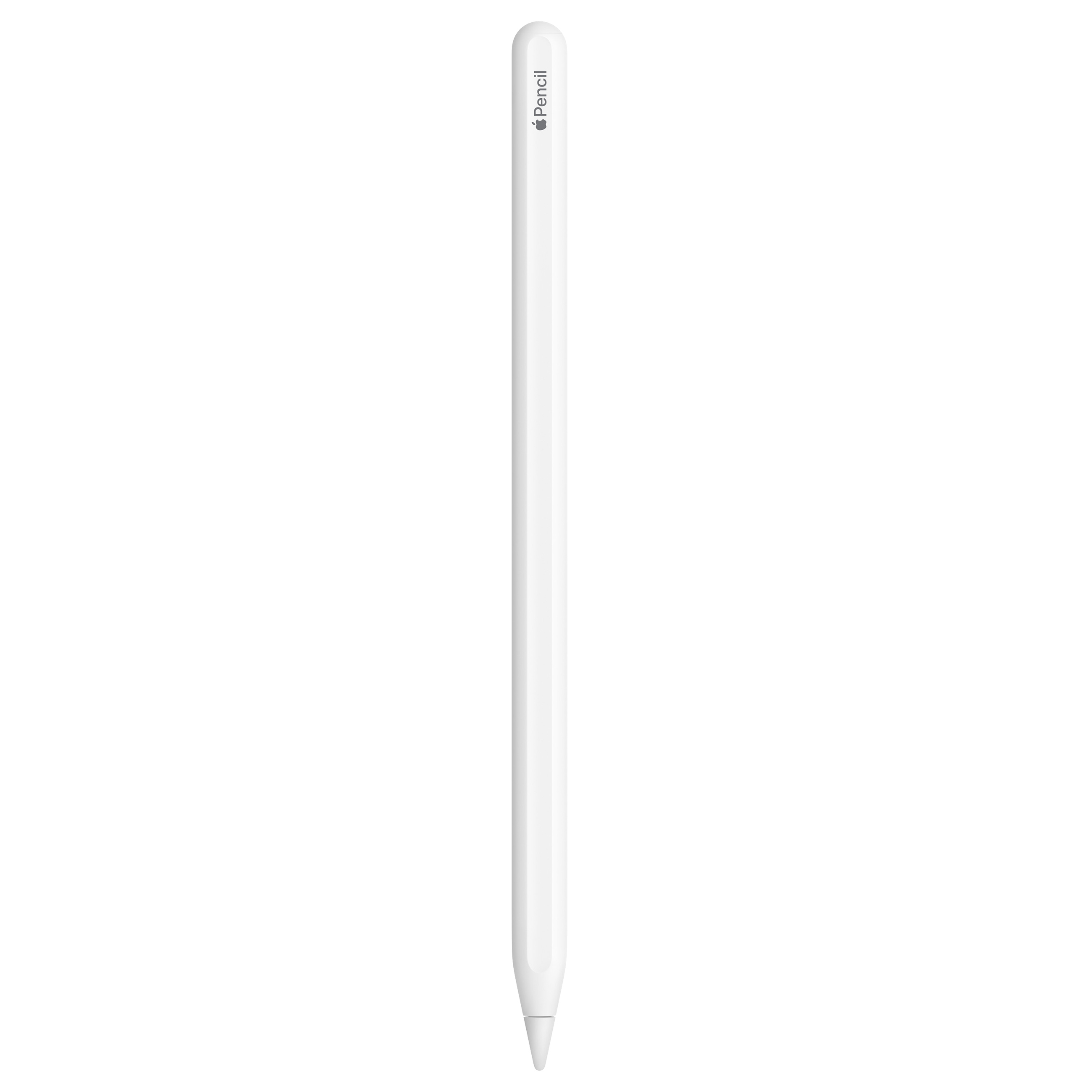 Apple Pencil (2. Generation) - EingabestifteNeuware