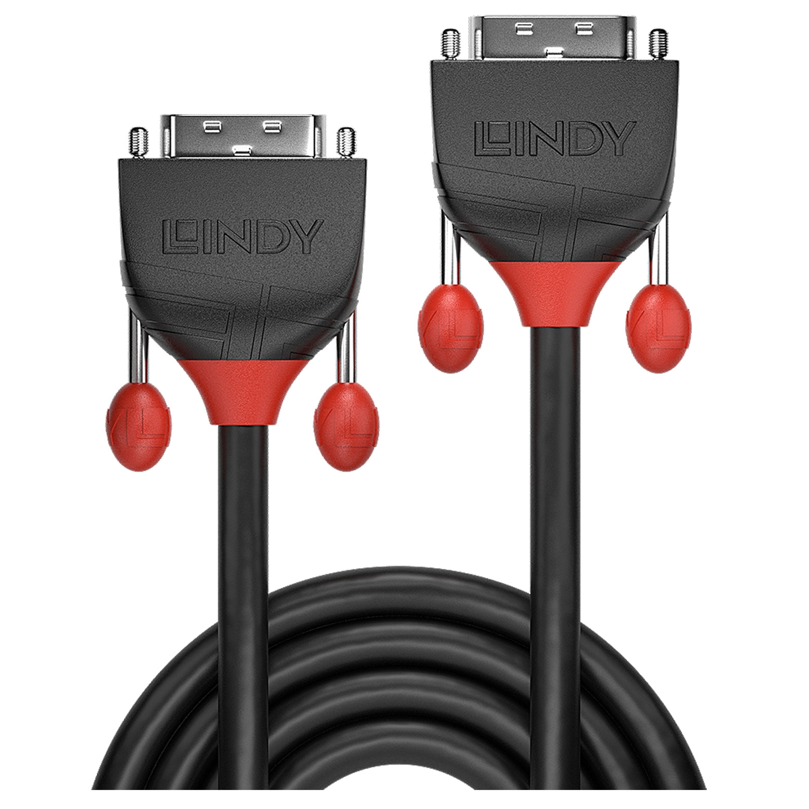 Lindy DVI-D auf DVI-D - Videokabel