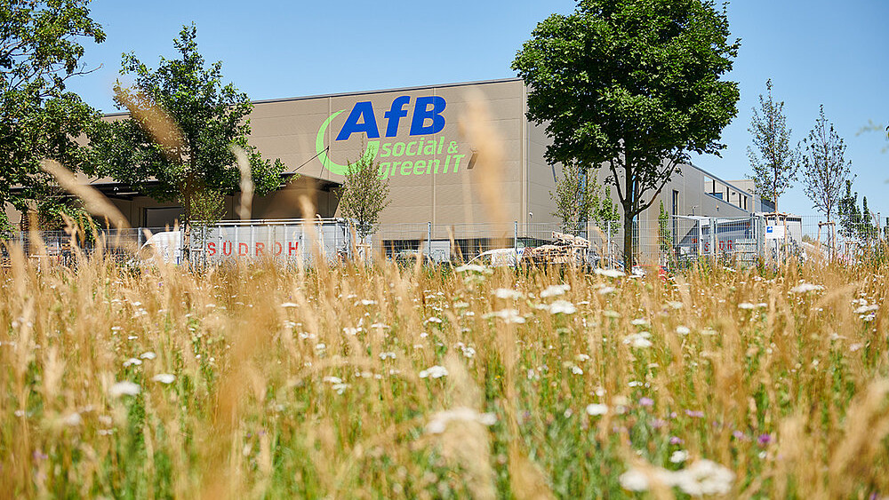 Blühende Wiese mit nachhaltiger AfB-Zentrale im Hintergrund.