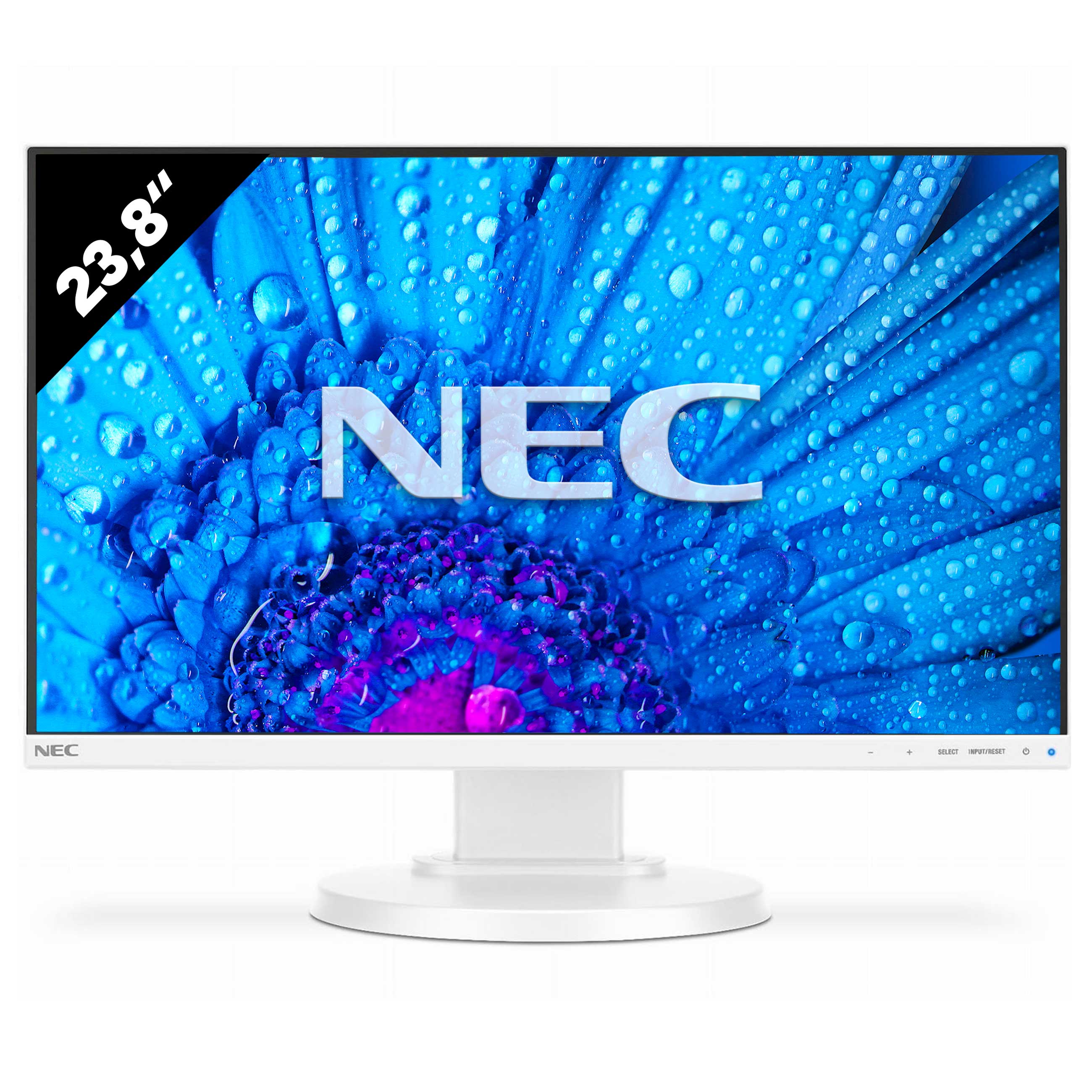 NEC MultiSync E241N - 1920 x 1080 - FHDGut - AfB-refurbished