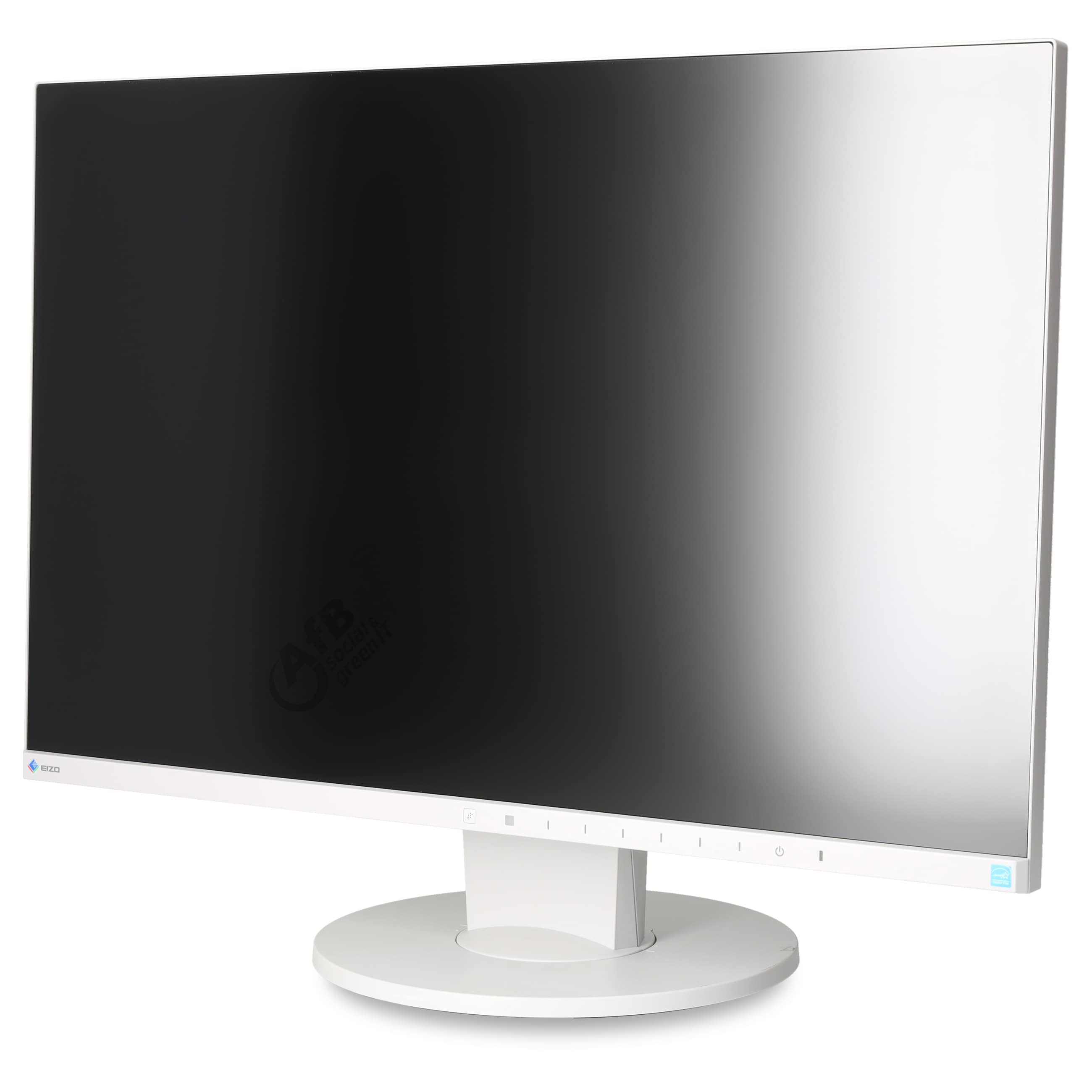 Eizo FlexScan EV2455-GY - 1920 x 1200 - WUXGA
