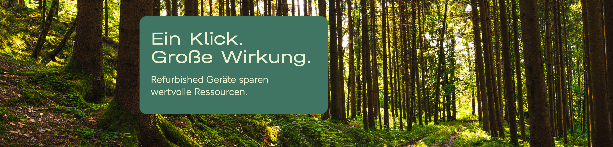 Diese Grafik zeigt einen Wald.