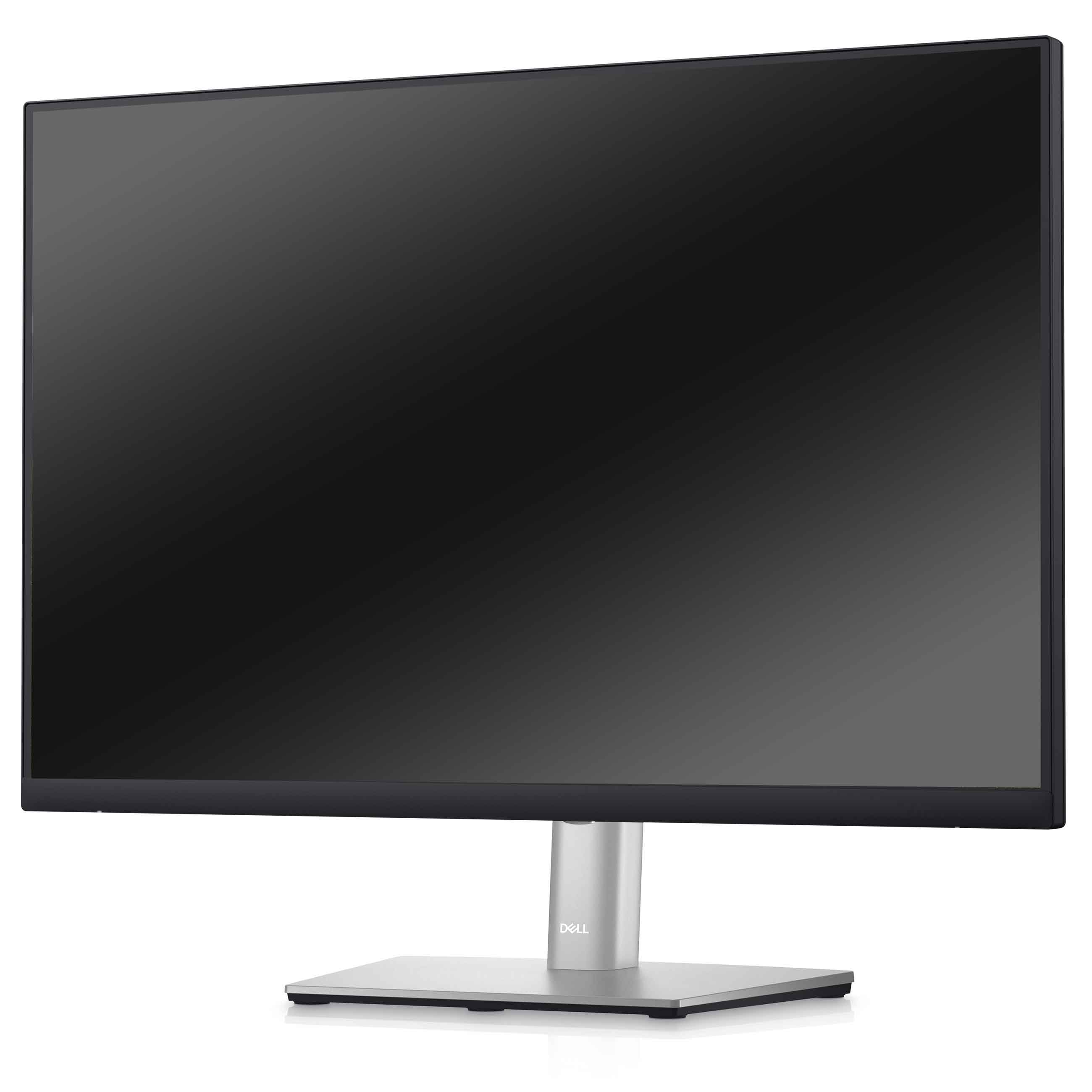 Dell Professional P2423 - 1920 x 1200 - WUXGA